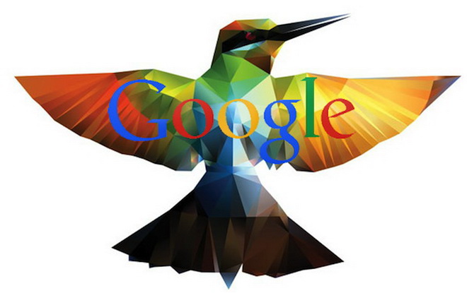 thuật toán chim ruồi của google